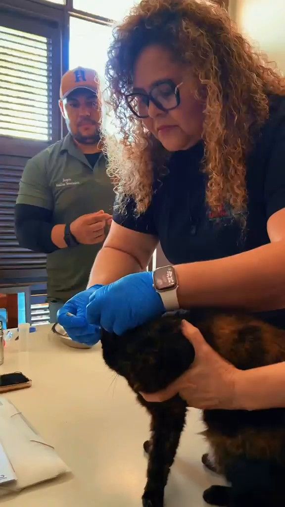 Dra. Luciana Pessoa em um atendimento veterinário domiciliar real