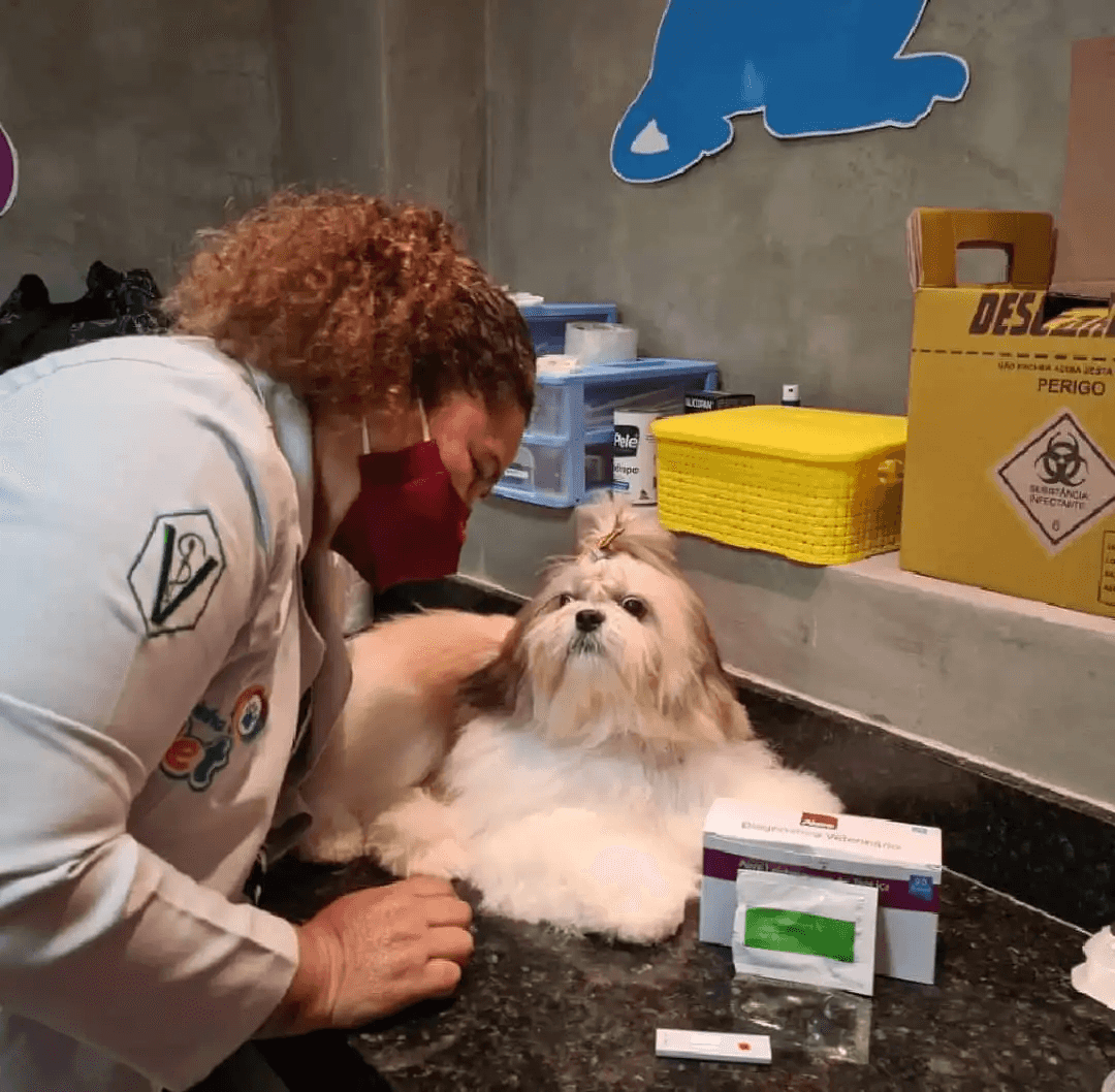 Dra. Luciana Pessoa atendendo um shih tzu na clínica