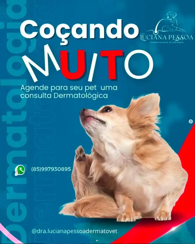 Material da Dra. Luciana Pessoa sobre dermatologia veterinária